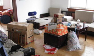 家中蟑螂难以根除与搬家搬厂应对之道